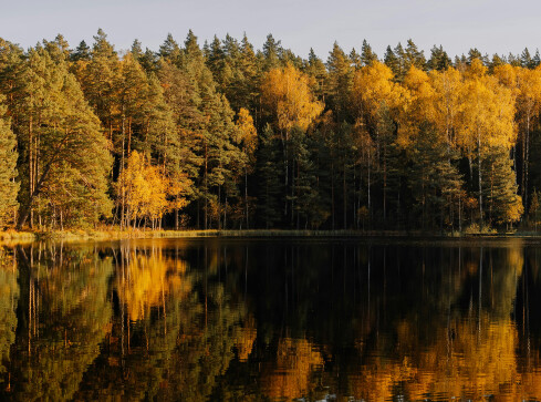 Zmiany pogodowe na przełomie października i listopada. Co nas czeka? - grafika