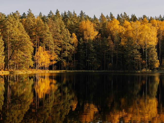 Zmiany pogodowe na przełomie października i listopada. Co nas czeka? - grafika