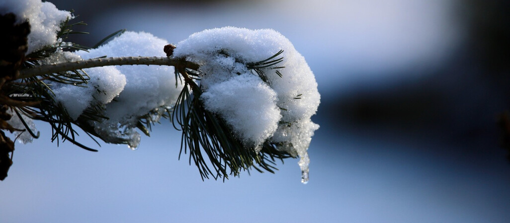 Szykujcie się na odwilż - prognoza pogody dla regionu