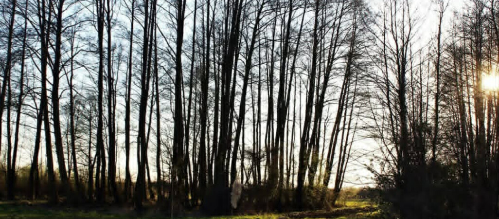 Spokojna, grudniowa aura w regionie