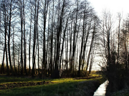 Spokojna, grudniowa aura w regionie - grafika