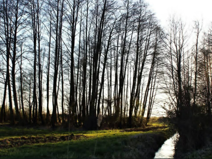 Spokojna, grudniowa aura w regionie - grafika