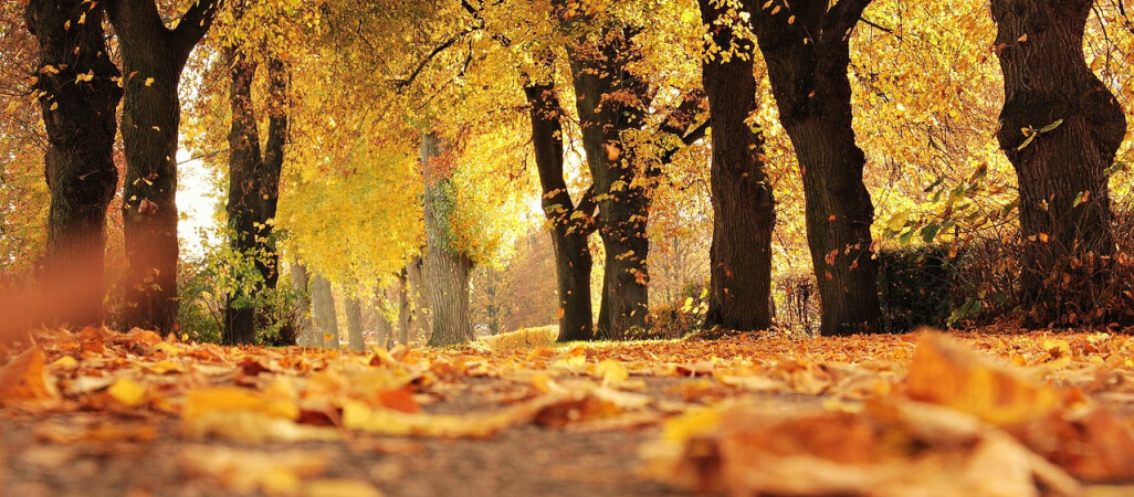 Pogodny początek listopada