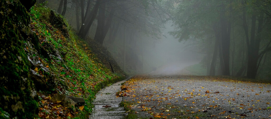 Tydzień zimny i mglisty