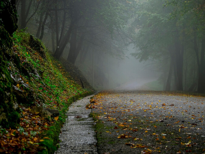 Tydzień zimny i mglisty - grafika