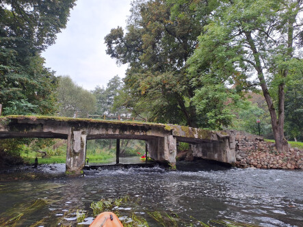 Spływ kajakowy - Majowa Dobrzyca - grafika