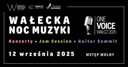 One Voice - Wałecka Noc Muzyki - grafika