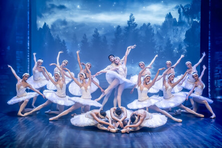 Jezioro Łabędzie - grafika