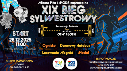 XIX Bieg Sylwestrowy - grafika