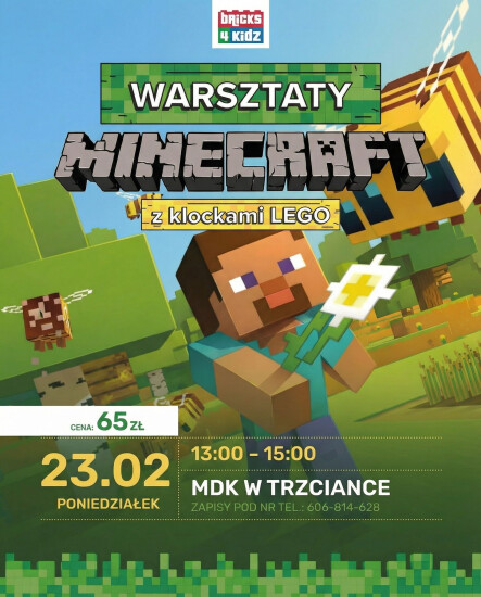 Warsztaty Minecraft z klockami LEGO - grafika