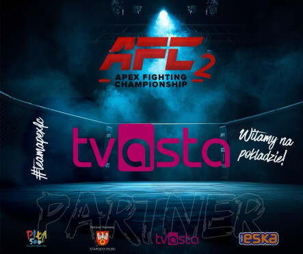 Apex Fighting Championship 2 - grafika