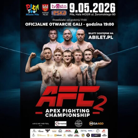 Apex Fighting Championship 2 - grafika