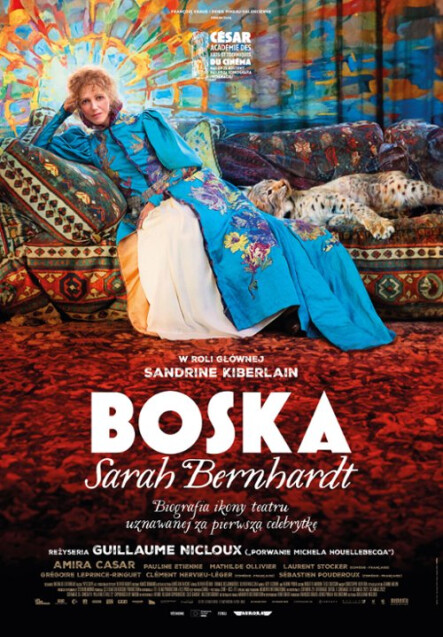 Kobiecy Wieczór Filmowy - grafika