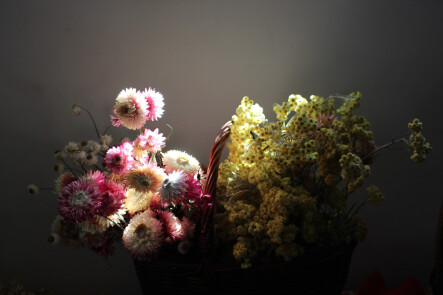 Warsztaty ziołowej kosmetyki - grafika