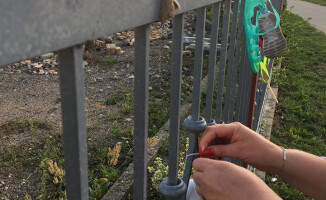 To wyraz solidarności z ofiarami księży pedofilów 