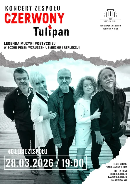Czerwony Tulipan - grafika