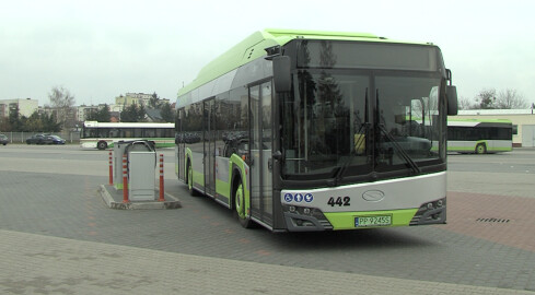 MZK z nowymi elektrykami - grafika