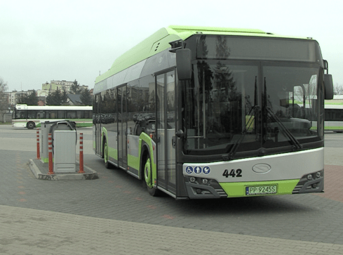 MZK z nowymi elektrykami - grafika