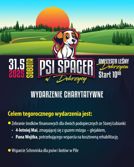 Psi spacer w Dobrzycy - grafika