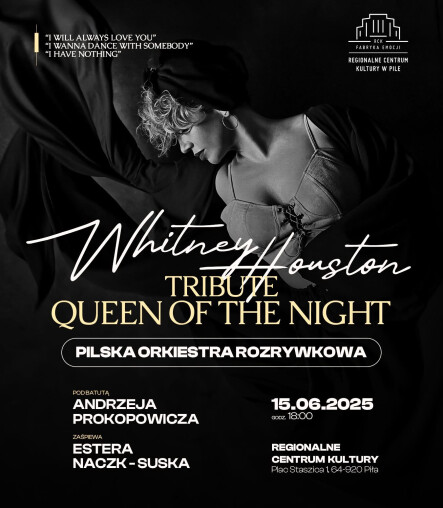 Whitney Houston Tribute - grafika